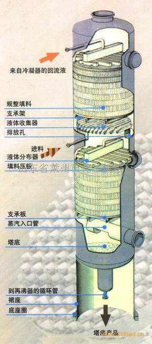 填料塔详细结构图图片